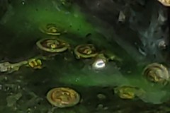 Iron Captain - Treasure Chest Detail