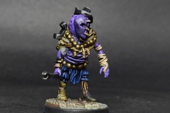 Shapeshifter 4 Front